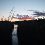 036开奖网官方开奖结果查询与最新资讯平台 43dw2z638f