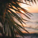 039期开奖结果正式公布,大奖花落谁家引关注 63tamy51