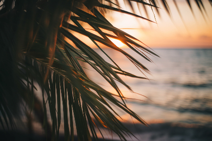 039期开奖结果正式公布,大奖花落谁家引关注 039期开奖结果正式公布,大奖花落谁家引关注