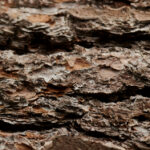 228现场开奖全程直击,见证激动人心的开奖时刻 9blwozmh