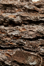 228现场开奖全程直击,见证激动人心的开奖时刻 228现场开奖全程直击,见证激动人心的开奖时刻