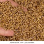 047期开奖号码揭晓,幸运数字花落谁家? eumdqu