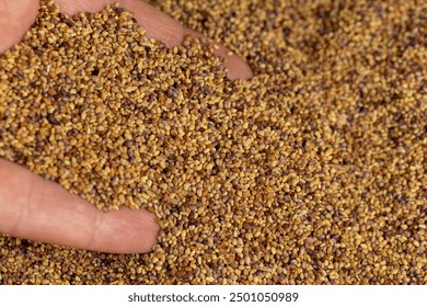 047期开奖号码揭晓,幸运数字花落谁家? 047期开奖号码揭晓,幸运数字花落谁家?