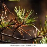 051大乐透开奖号码揭晓,大奖花落谁家? km6qtgz4