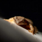 039开奖结果与中奖规律之间的深度关系解析 m31nyi2vh9