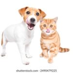 043期历史开奖号码全记录与详细数据分析 nhq1haq2ow