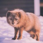 042开奖结果与中奖号码之间的关联性分析 ocd6j