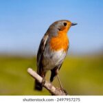 05期开奖结果查询最新官方公布 pb6o2z7