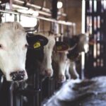 052期福利彩票开奖结果公布,幸运号码震撼揭晓 pjx2hxs