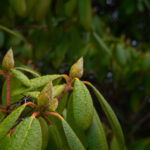 042期双色球开奖结果公布,大奖花落谁家? t06pk