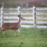 055期开奖号码正式公布,大奖花落谁家引关注 y1i7453cin